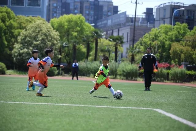 杨瀚森26+15青岛惜败广东 高登42分四川负同曦